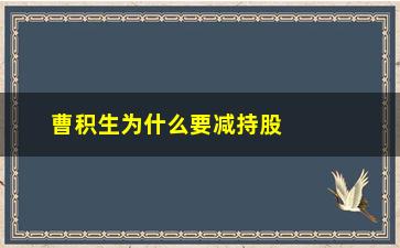 “曹积生为什么要减持股票